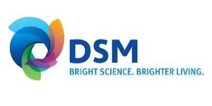 dsm