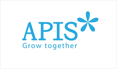 APIS CORPORATION