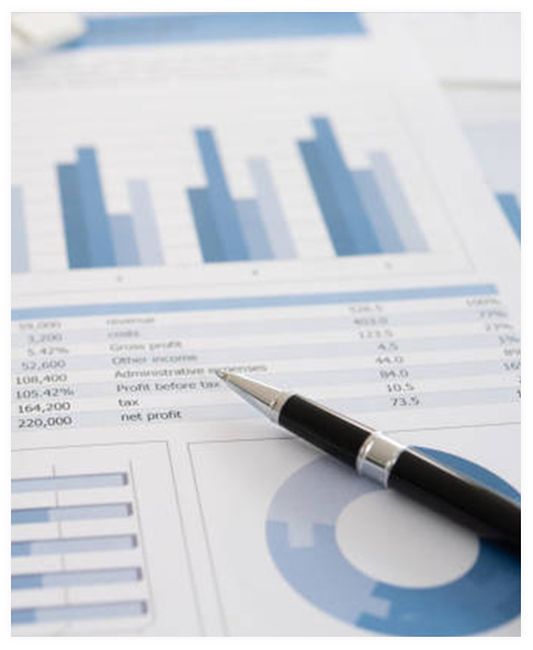 Financial report - Asia Ingredients Group - Ingredients for Better Life