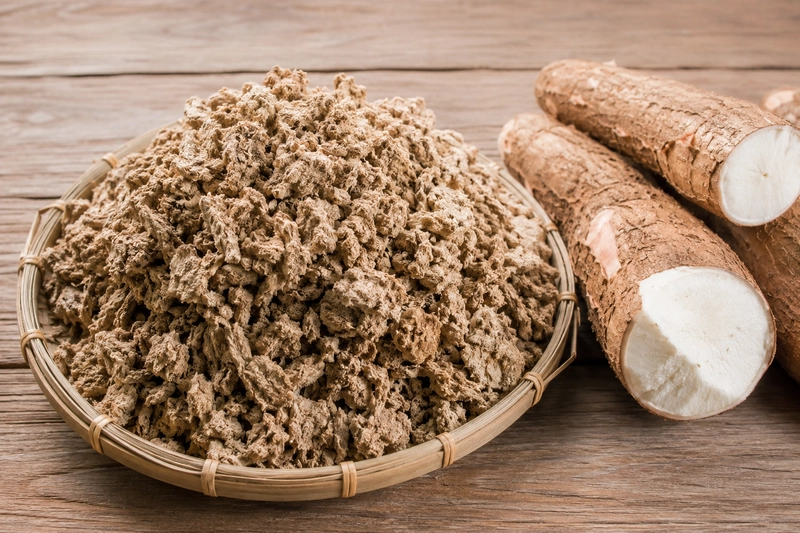 Bã sắn là nguồn nguyên liệu có giá trị trong nhiều ngành sản xuất