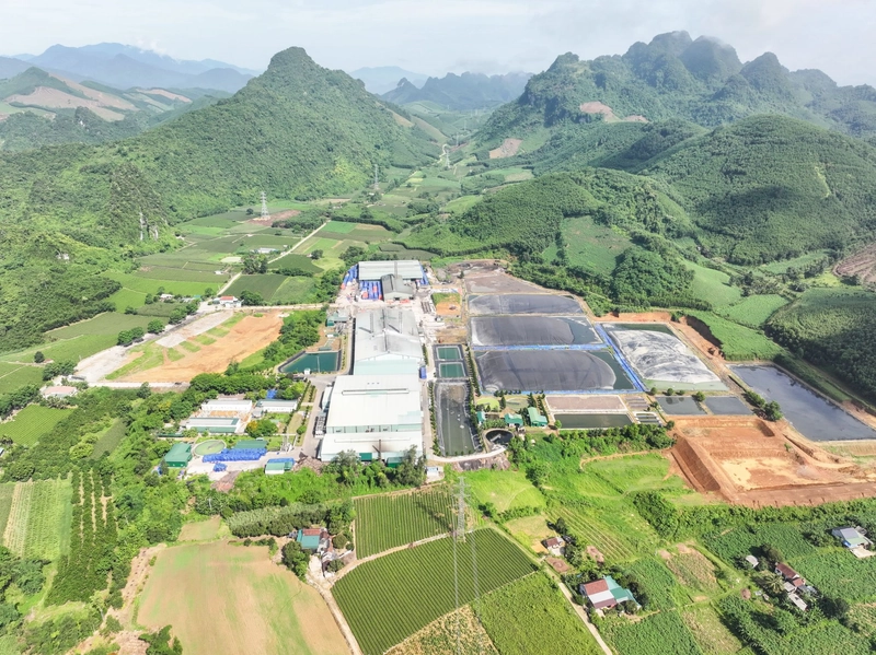 Vùng nguyên liệu hơn 10.000 hecta là nền tảng cho các giải pháp nguyên liệu từ sắn trong hệ sinh thái AIG