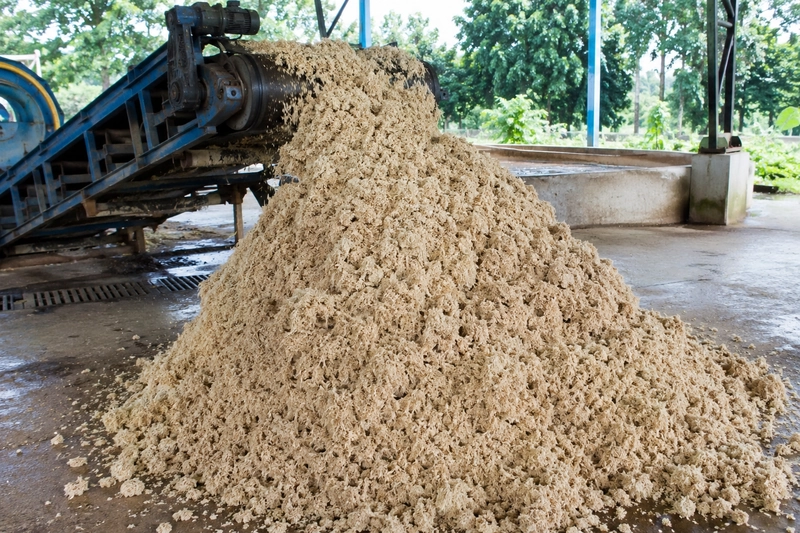 Bã sắn có thể được sử dụng trong thức ăn chăn nuôi