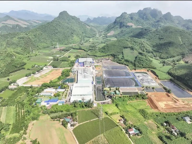 Vùng nguyên liệu tại các huyện của Nghệ An là nền tảng giúp AIG và AHS chủ động nguồn cung sắn đầu vào